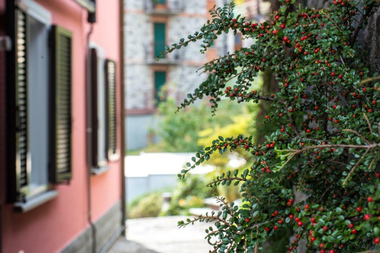 Residence Casa Rosa 게라 라리오 외부 사진